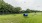dog park with play area